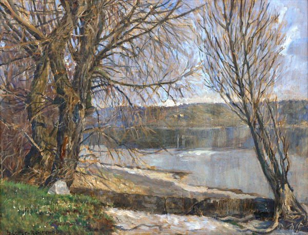 Am Ufer der Reichenau