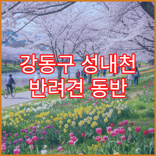 강동구 성내천 반려견 동반 벚꽃길 산책 허용 구역 안전 코스
