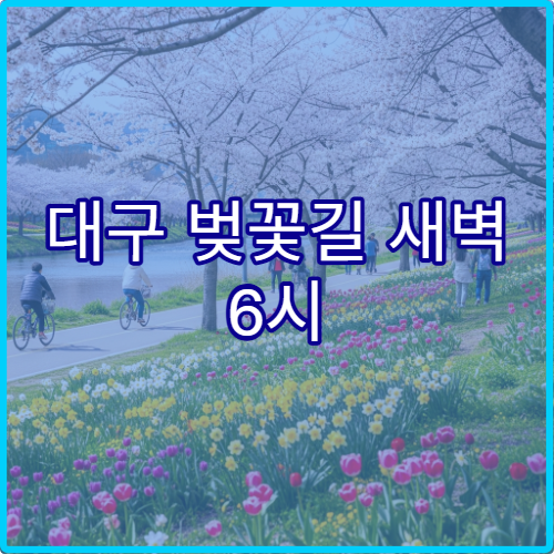 대구 벚꽃길 새벽 6시 사진작가들이 추천하는 출사 최적 포인트 위치