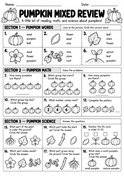 Pumpkin Mixed Review Worksheet