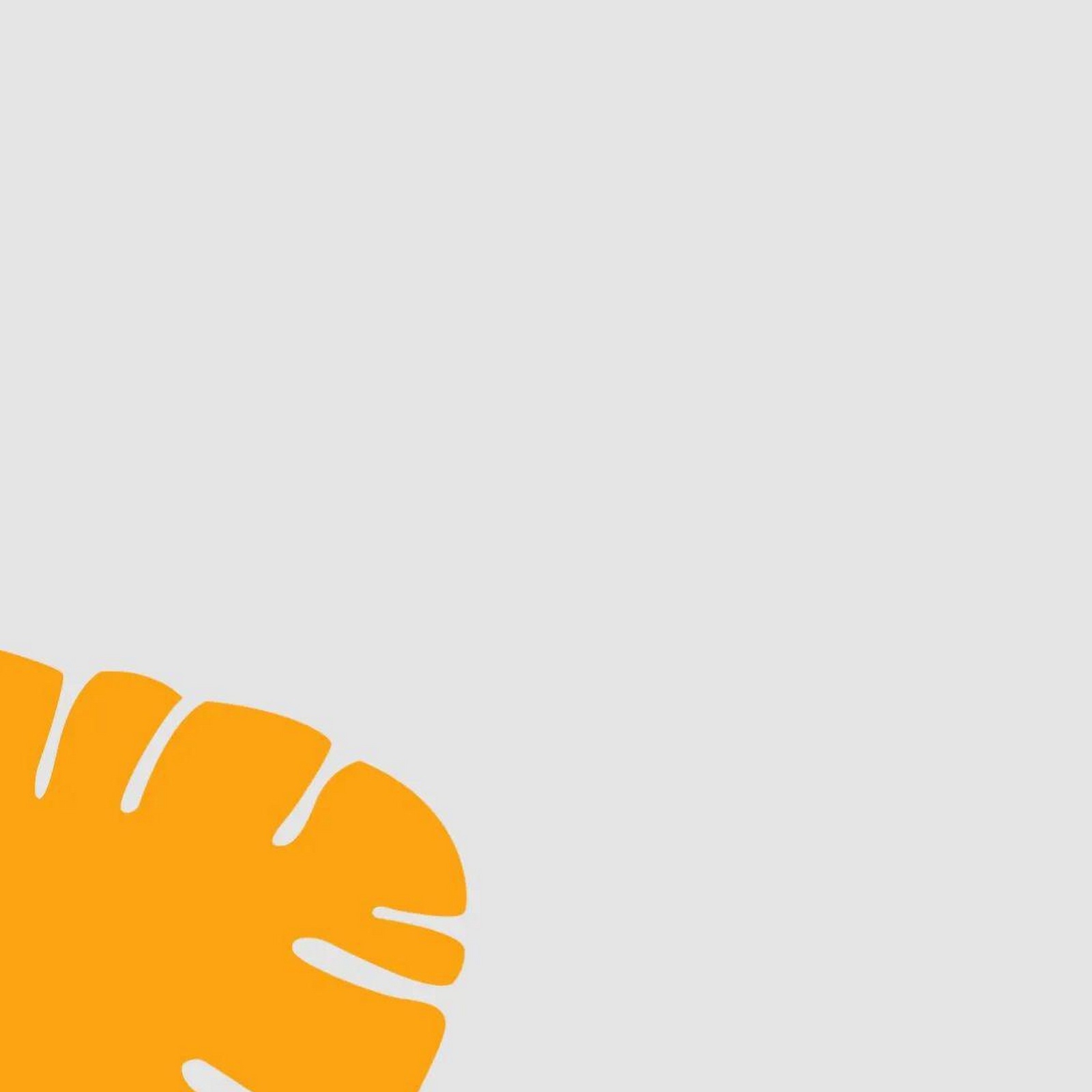 Download Minimalist Tropical Leaf Illustration Full HD iPhone
