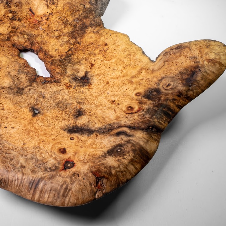 Manitoba Maple Burl - St. Boniface - 15" view 2