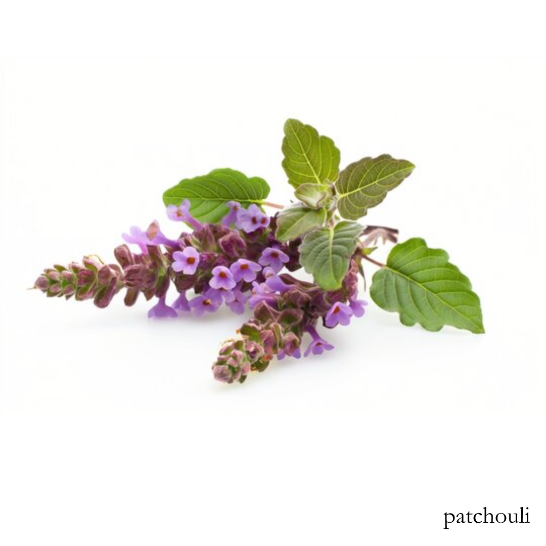 Patchouli