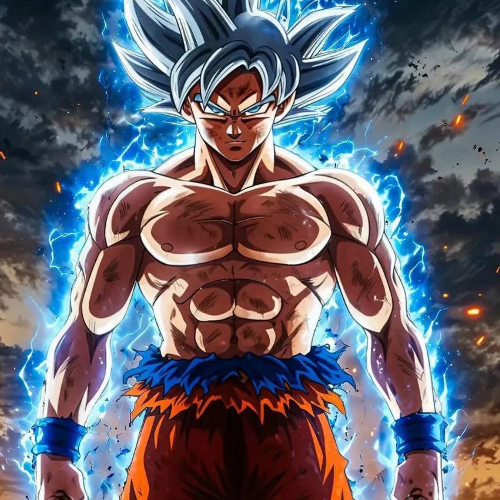 Download Goku, Ultra Instinct, Anime, Dragon Ball Full HD iPhone