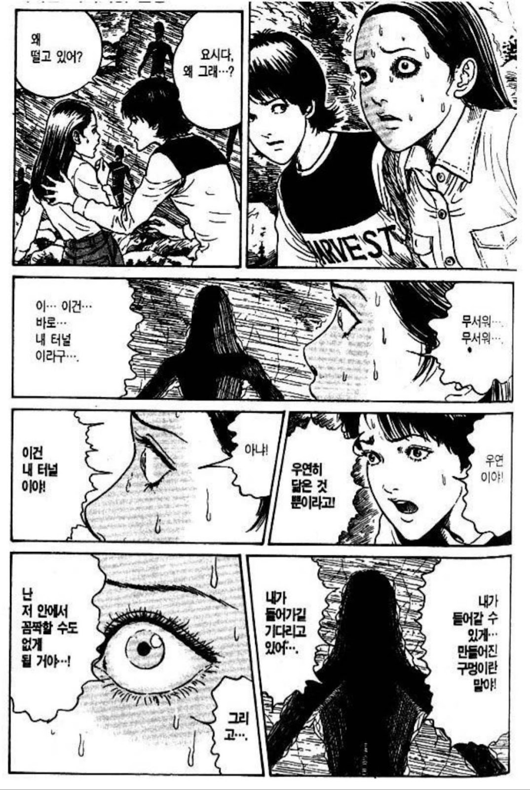From ‘The Enigma of Amigara Fault (Junji Ito)’