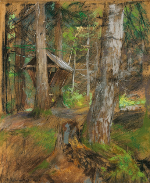 Forest floor and manger 1901