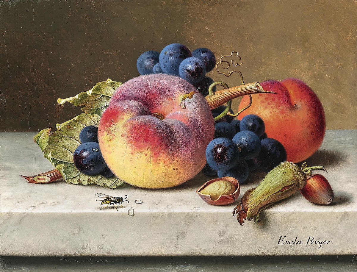 Still Life with Peaches Red Grapes Hazelnuts and a Wasp