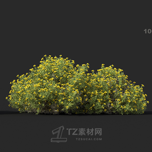 Maxtree - Plant Models Vol.60