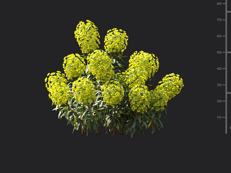Maxtree - Plant Models Vol.119