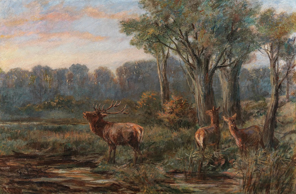 A Red Deer in a Glade