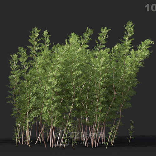 Maxtree - Plant Models Vol.60