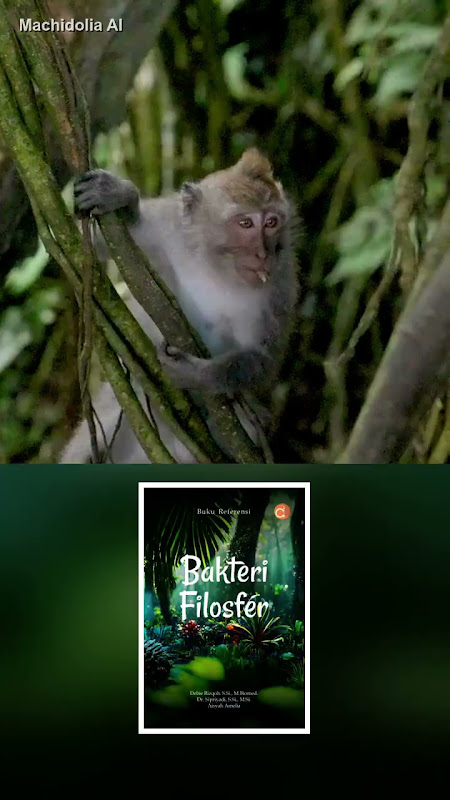 Buku Referensi Bakteri Filosfer
