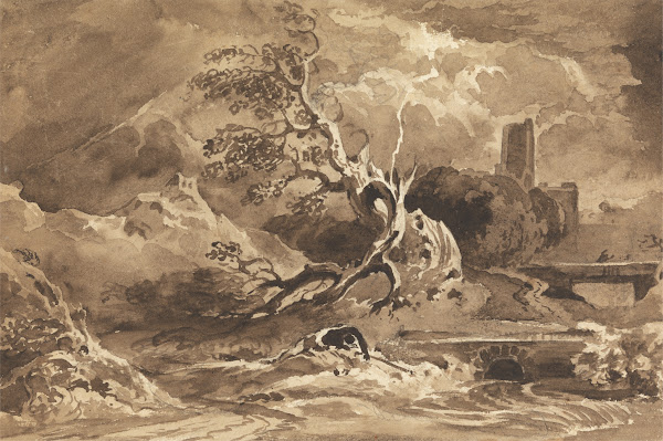 A Tree Struck by Lightning