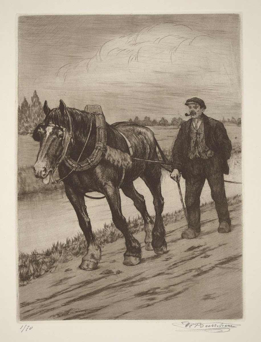 Cheval de hâlage