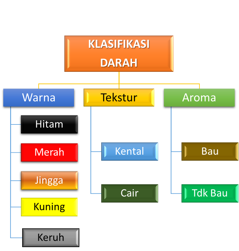 klasifikasi darah wanita
