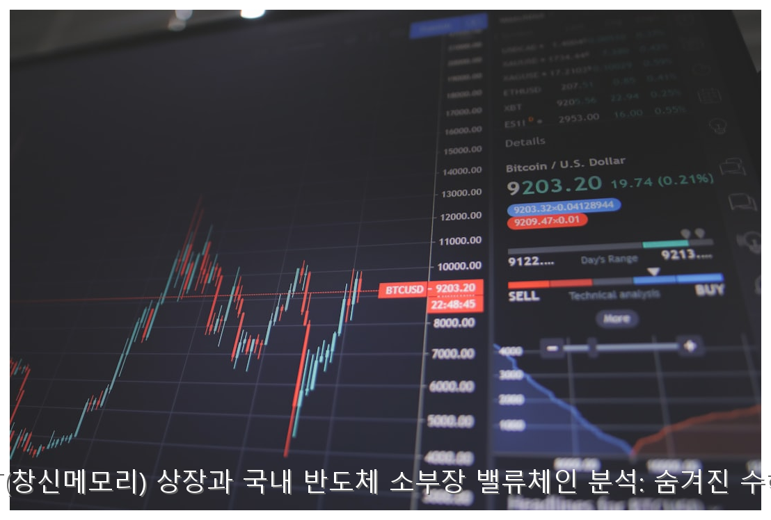 중국 CXMT(창신메모리) 상장과 국내 반도체 소부장 밸류체인 분석: 숨겨진 수혜주 TOP 5 핵심 안내 및 분석 인포그래픽 (6)