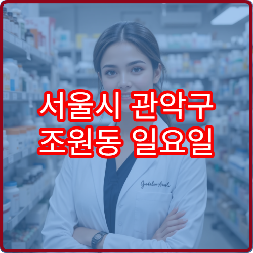 서울시 관악구 조원동 일요일 당번약국 안내 주말 약국 운영시간 모음