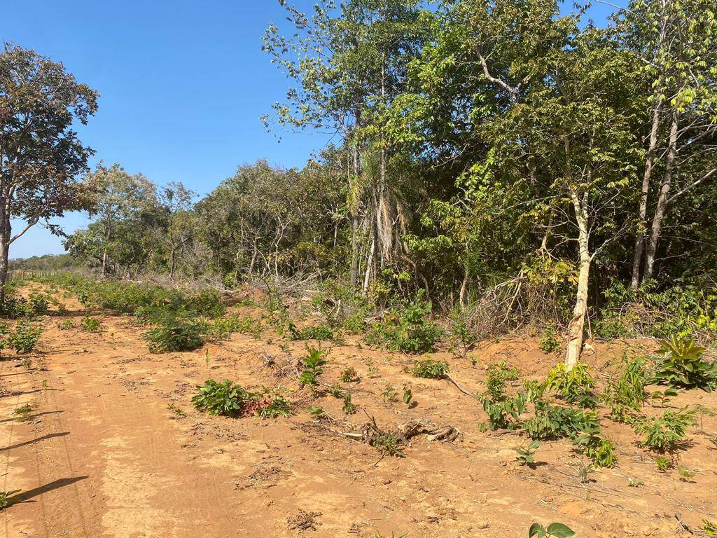 Fazenda em Crixás - GO 2