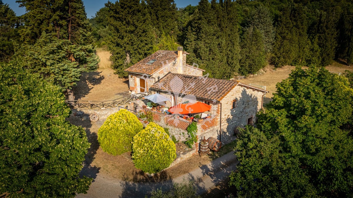 פודרה פוג'ו אל לאגו (Podere Poggio al Lago) — 20