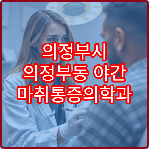 의정부시 의정부동 야간 마취통증의학과 허리 신경통 진료 정보