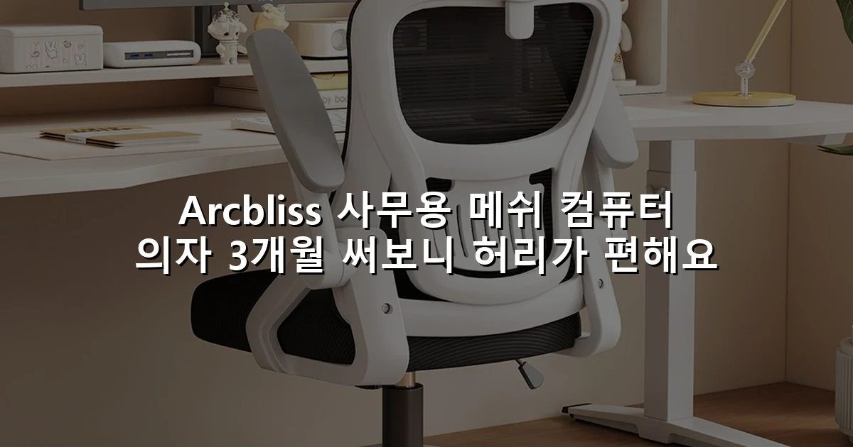 Arcbliss 사무용 메쉬 컴퓨터 의자 3개월 써보니 허리가 편해요