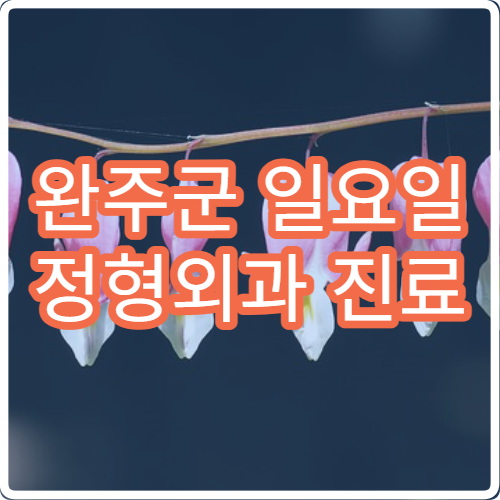 완주군 일요일 정형외과 진료 병원 – 허리, 무릎, 어깨 통증 및 교통사고 환자 주말 진료