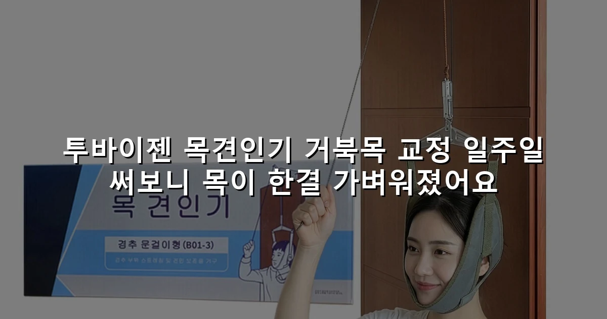 투바이젠 목견인기 거북목 교정 일주일 써보니 목이 한결 가벼워졌어요