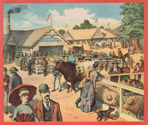 people observing pig cattle and sheep stalls 1890