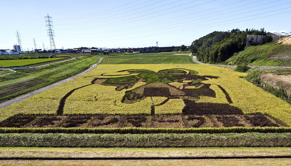 田んぼアート　安城市･デンパーク
