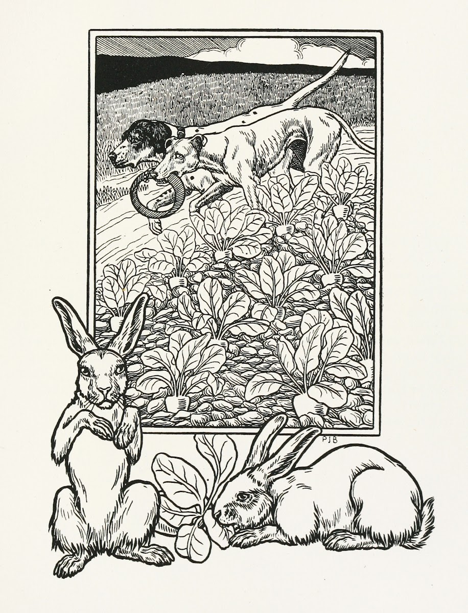 A hundred anecdotes of animals pl 056 1901