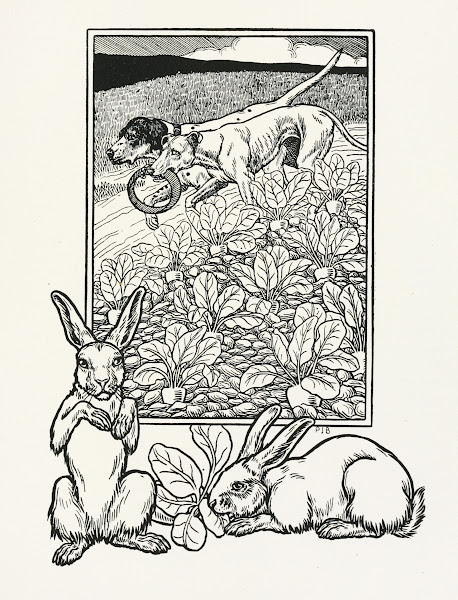A hundred anecdotes of animals pl 056 1901