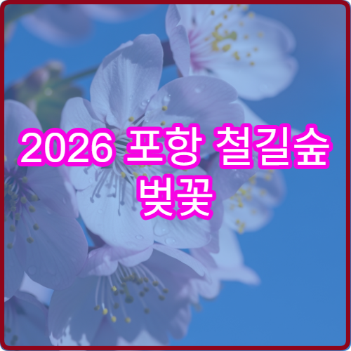 2026 포항 철길숲 벚꽃 평일 오전 9시 인파 피하는 방문 타이밍 가이드