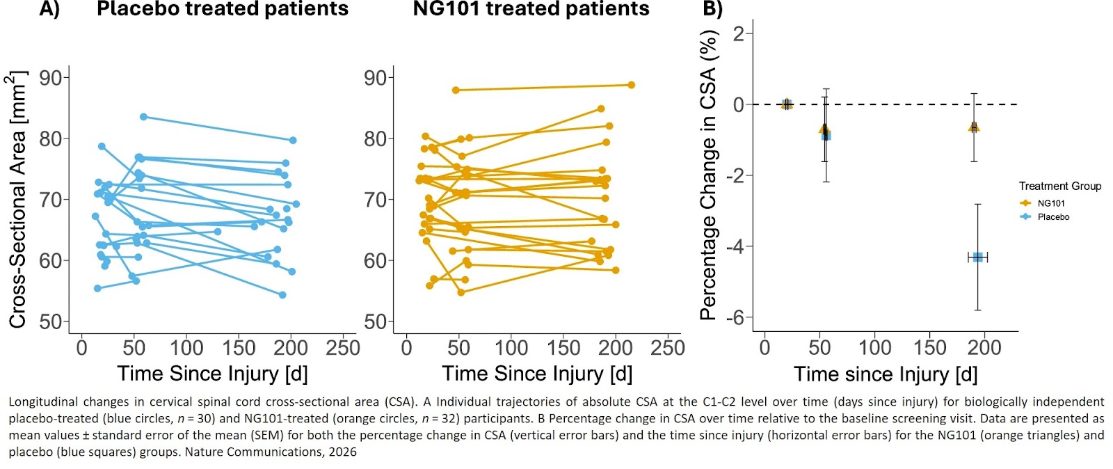 Antibody spurs nerve fiber regrowth following spinal cord injury