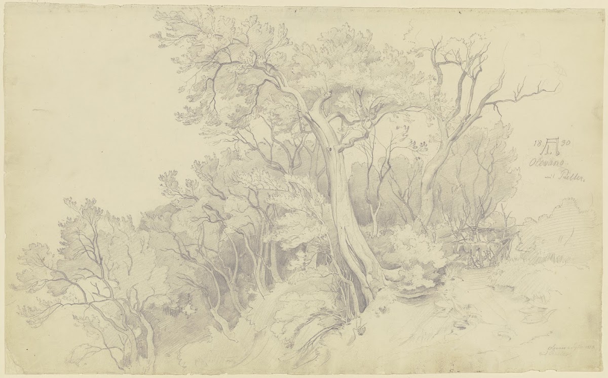 Edge of the forest near Olevano 1830