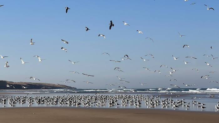 Room, board & coaching &mdash; Surf Discovery Morocco