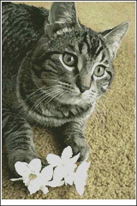 CMP 400424 Flower Cat