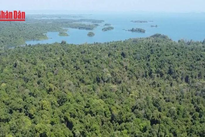 Lấy nước hồ Dầu Tiếng, hồ Trị An đẩy mặn cho TP Hồ Chí Minh - Báo Nhân Dân