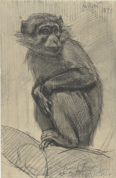 Monkey on a Branch 1879