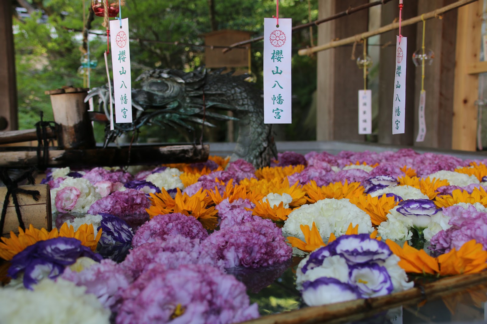 飛騨高山手筒花火打上げ