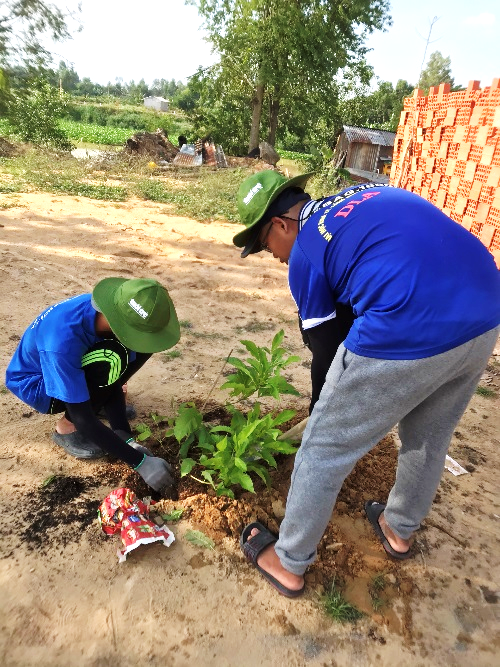 Phát quang cỏ dại và trồng thêm cây xanh đường giao thông nông thôn