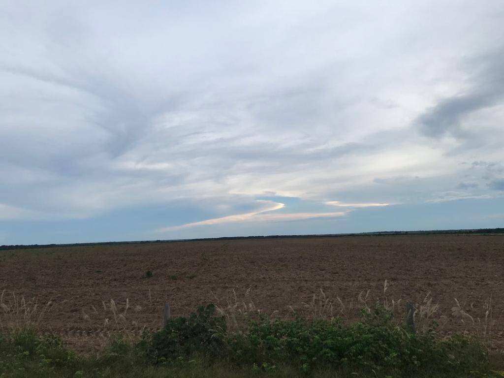 Fazenda em Santa Terezinha-MT 3