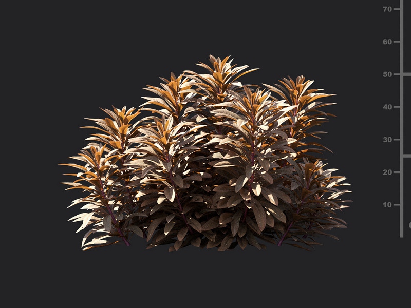Maxtree - Plant Models Vol.119