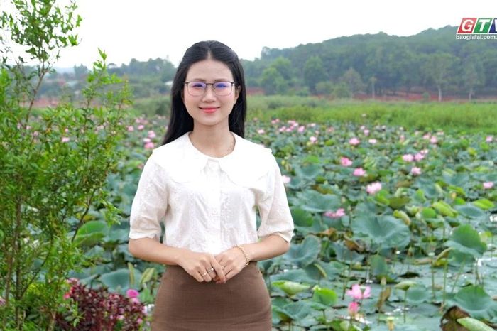 Thông Viu – Góc chill giữa phố núi Pleiku - Báo Gia Lai