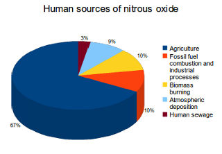Pie Colored Charts of Sources of Nitrous Oxide in Percentage Green House Gas. GHG, Green house gas, Global warming gas, climate change gas. CarbonEthics Indonesia