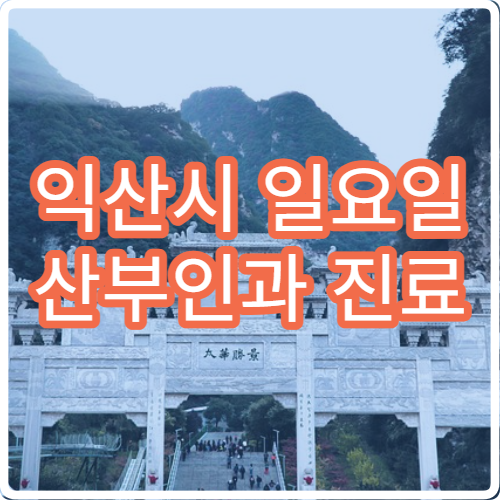 익산시 일요일 산부인과 진료 병원 – 생리통, 임신·출산 관련 응급 진료 가능 병원