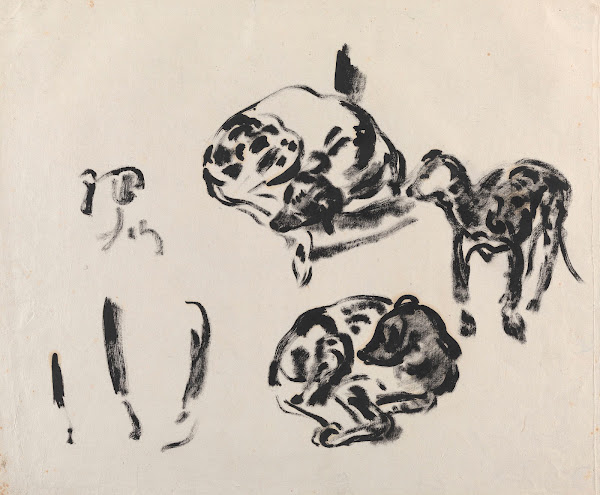 Study of Dogs