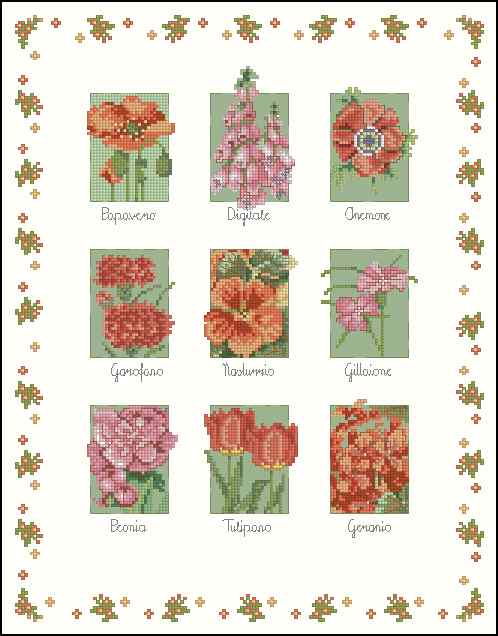 CMP 170205 Nine Flowers