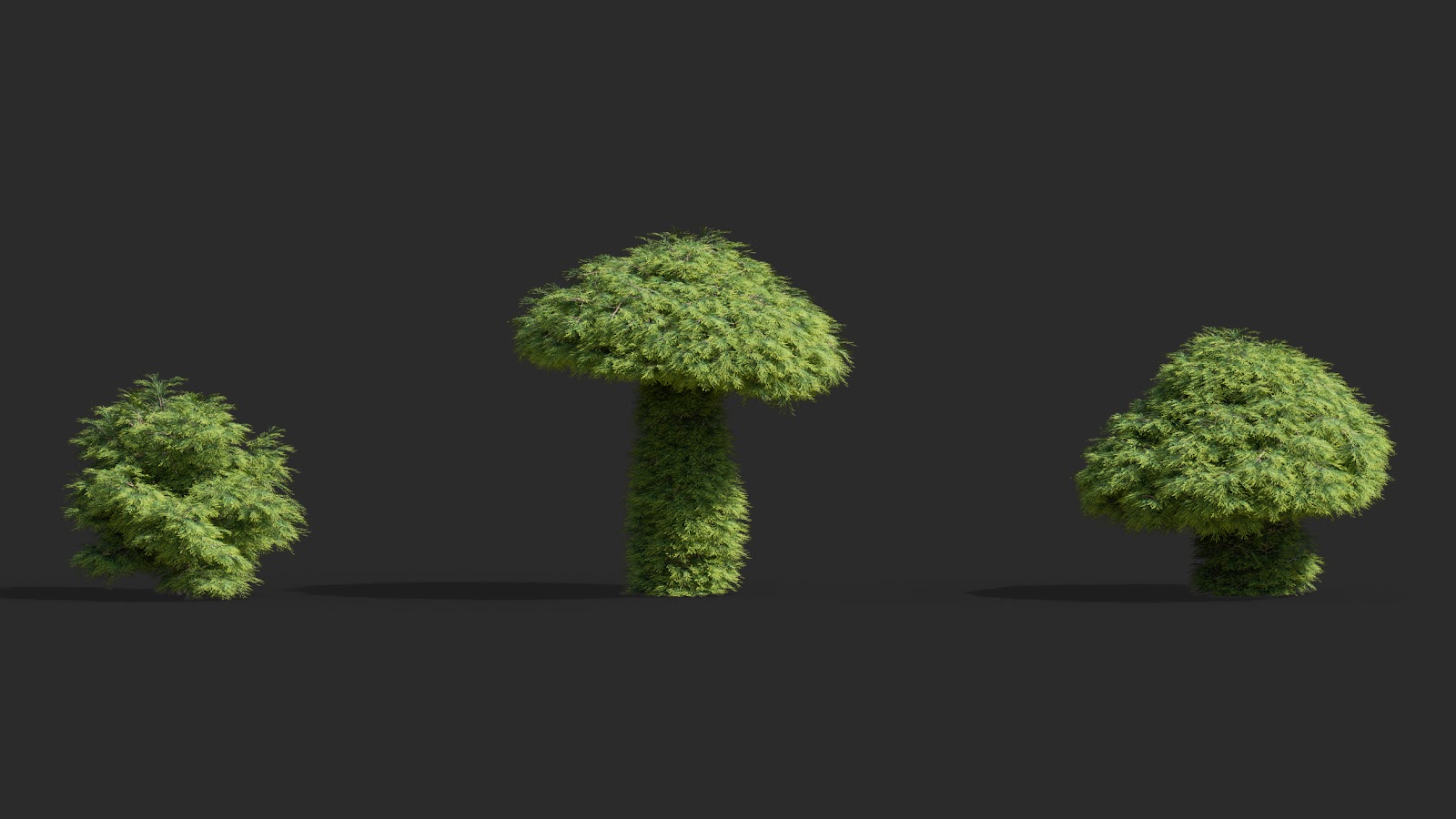 Maxtree - Plant Models Vol.63
