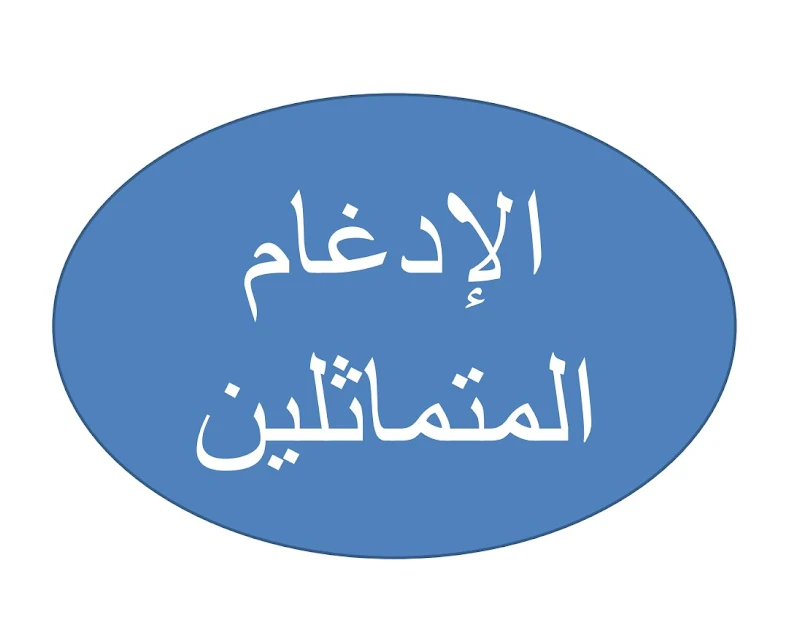 صورة الغلاف