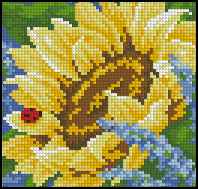 CMP 171498 Sunflower